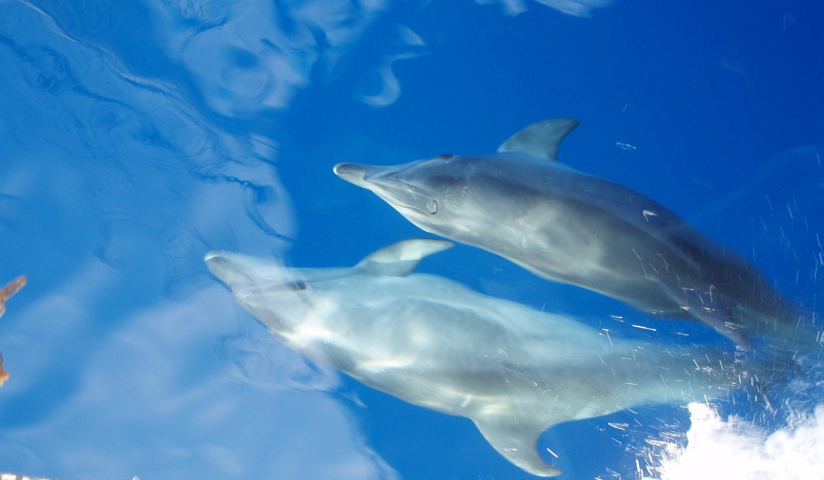 18-39’s Fethiye to Olympos